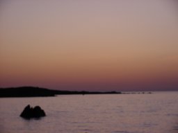 bild 251